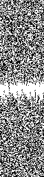 244th bit of Xoshiro256 state set, plus output function